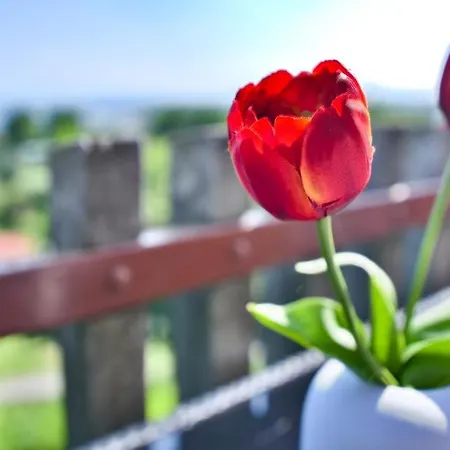 Apartment Casa Christina Rentals-24 Peschiera del Garda